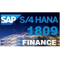 SAP S/4 HANA SIMPLE FINANCE LIVE TRAINING WITH STANDARD DOCS 